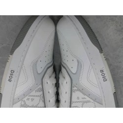 GT Dior B27 Low White Gray