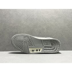 GT Amiri Skel Top low Top Sneakers Grey White