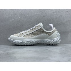 GT Dior B23 Low Top Sneaker Grey Oblique Canvas