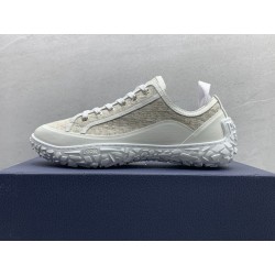 GT Dior B23 Low Top Sneaker Grey Oblique Canvas