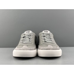 GT Dior B101 Sneaker Gray