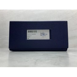 GT Dior B22 White Blue 3SN231YXX_H865