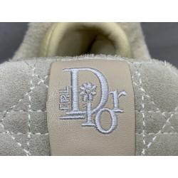 GT Dior ERL B9s Cream Suede Oblique Jacquard 3SN289ZTF_H060