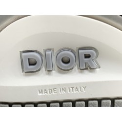 GT Dior B57 Mid Oblique Grey White 3SH141ZXU_H860