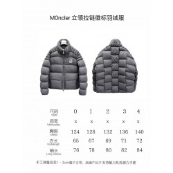 M0ncler x Christopher Raxxy Collaboration Stand Collar Zip-Up Logo Down Jacket Unisex Grey