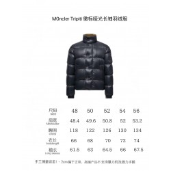 Moncler Tripiti Logo Matte Long-Sleeve Down Jacket  Grey