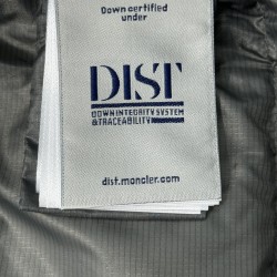 Moncler Hooded Short Zip-Up Down Jacket Grey