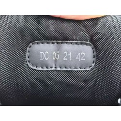 GT Dior B30 Sneakers Silver/Black