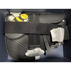 Dior x Kaws Saddle Bag